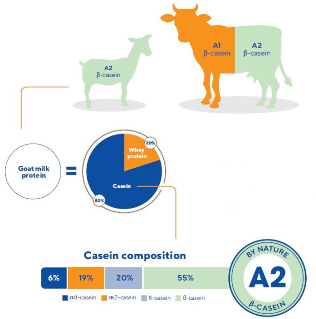 Kabrita Is A Milk By Nature Ausnutria Nutrition Institute