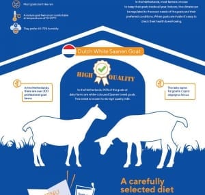 Goat fact sheet