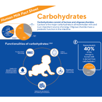 carbohydrates