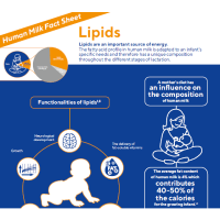 lipids