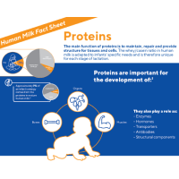 proteínas