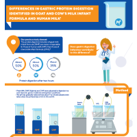 Infographic paper He